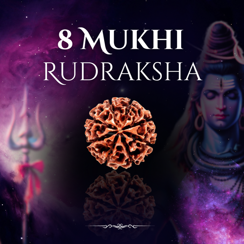 Who Can Wear the 8 Mukhi Rudraksha?